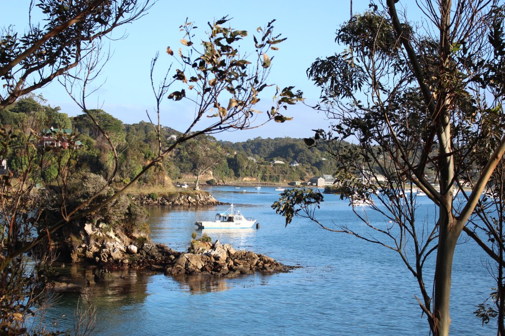 “Here, catch this”